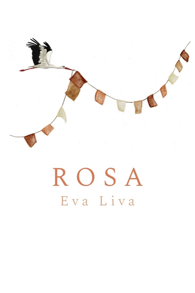 Geboortekaartje ooievaar en slinger Rosa