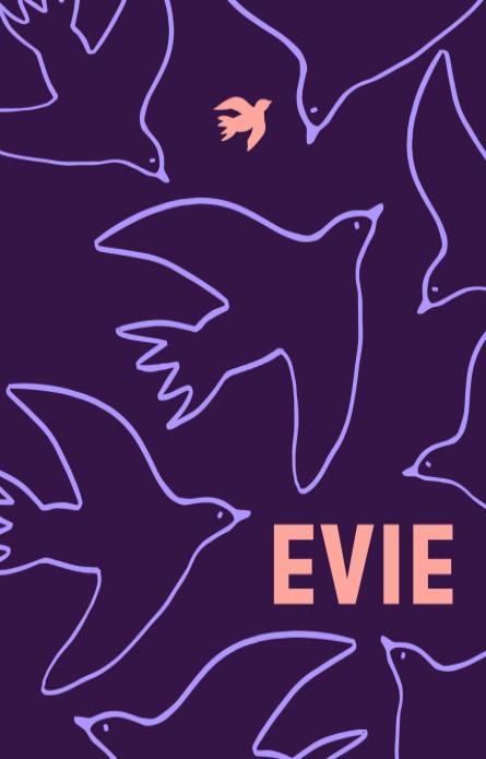 Kleurrijk geboortekaartje vogels lijntekeningen Evie