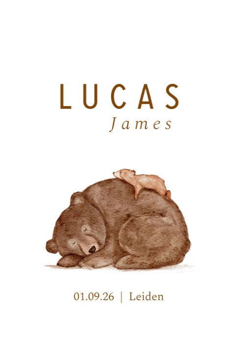 Lief geboortekaartje handgeschept papier met illustratie beertje Lucas