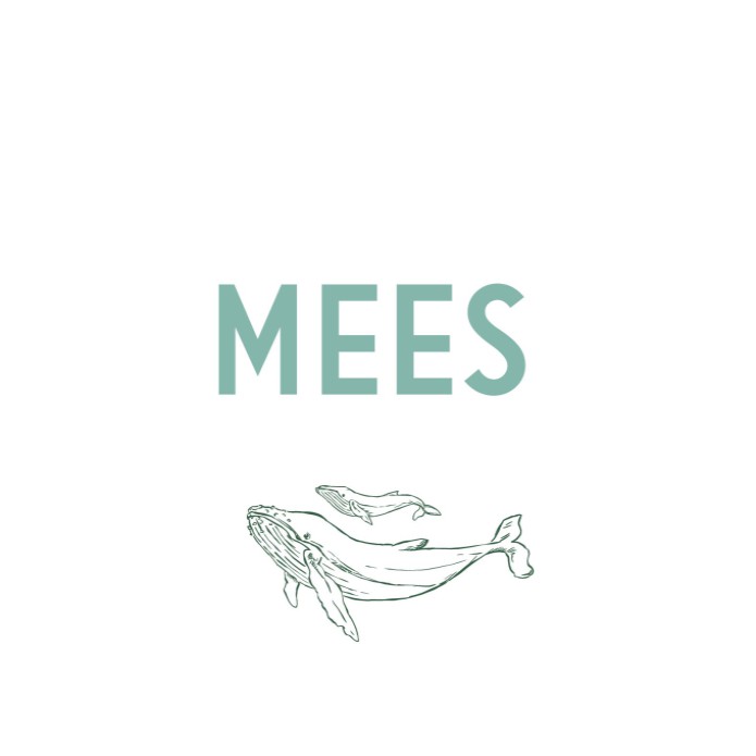 Geboortekaartje walvis lijntekeningen Mees