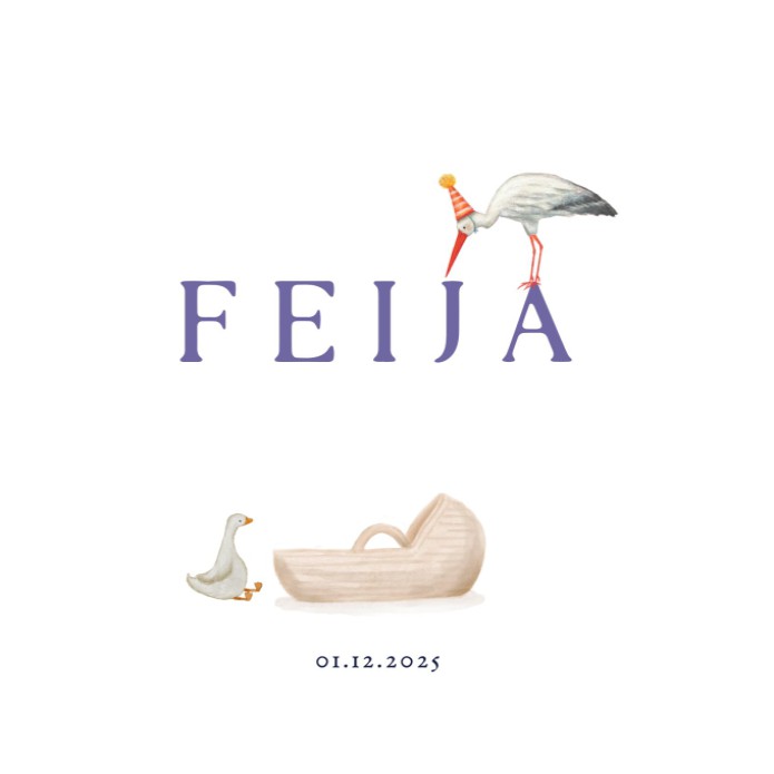 Stoer geboortekaartje met ooievaar en mozesmandje Feija