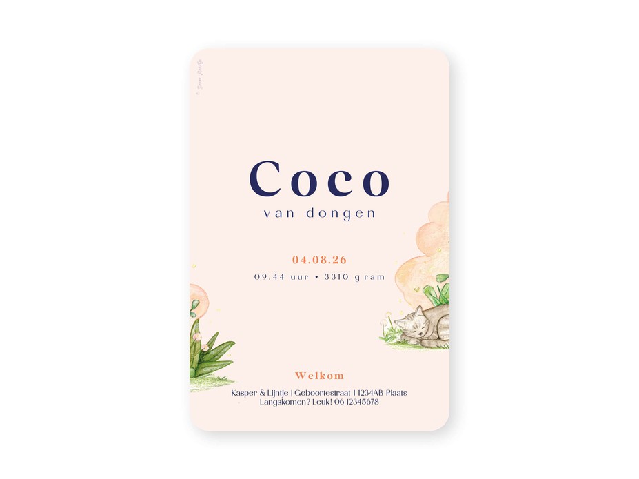 Geboortekaartje met handgetekende illustratie van meisje en poes Coco