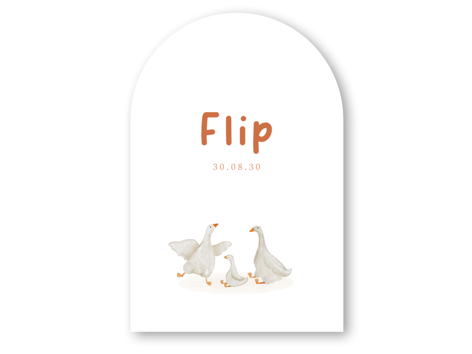 Boogvorm geboortekaartje getekend gansje Flip voorzijde