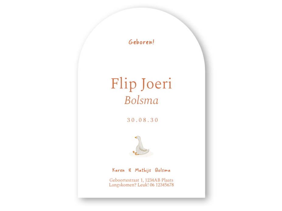 Boogvorm geboortekaartje getekend gansje Flip achterzijde