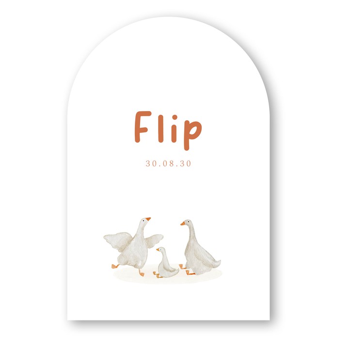 Boogvorm geboortekaartje getekend gansje Flip