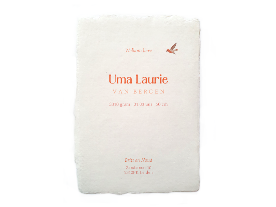 Geboortekaartje beer hond pinguin met ballon