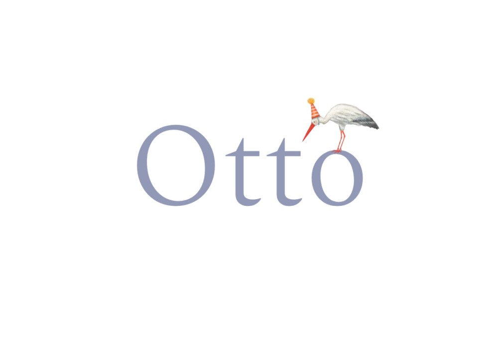 Geboortekaartje jongen oud hollands ooievaar met feesthoedje Otto