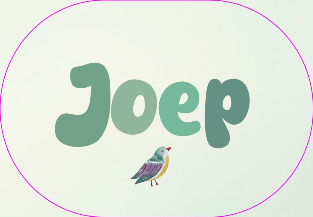 Geboortekaartje jongen ovaal vogel speelse letters Joep