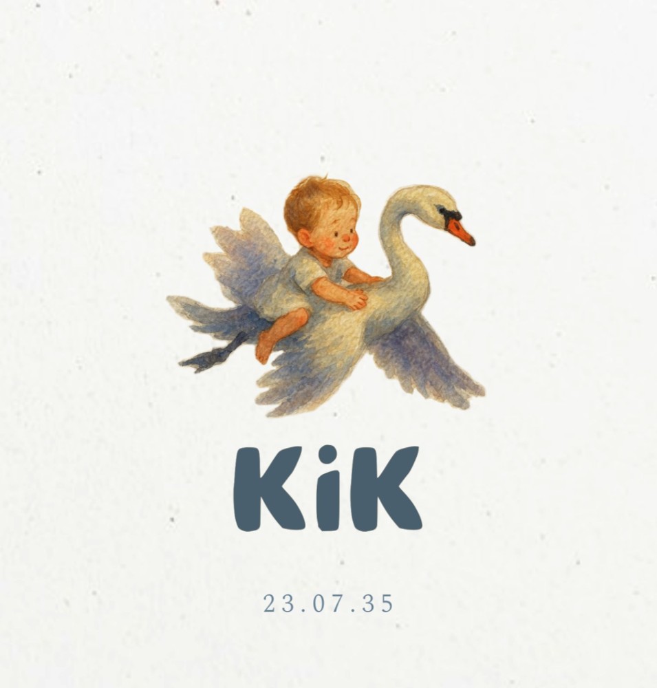 Geboortekaartje jongetje op zwaan Kik