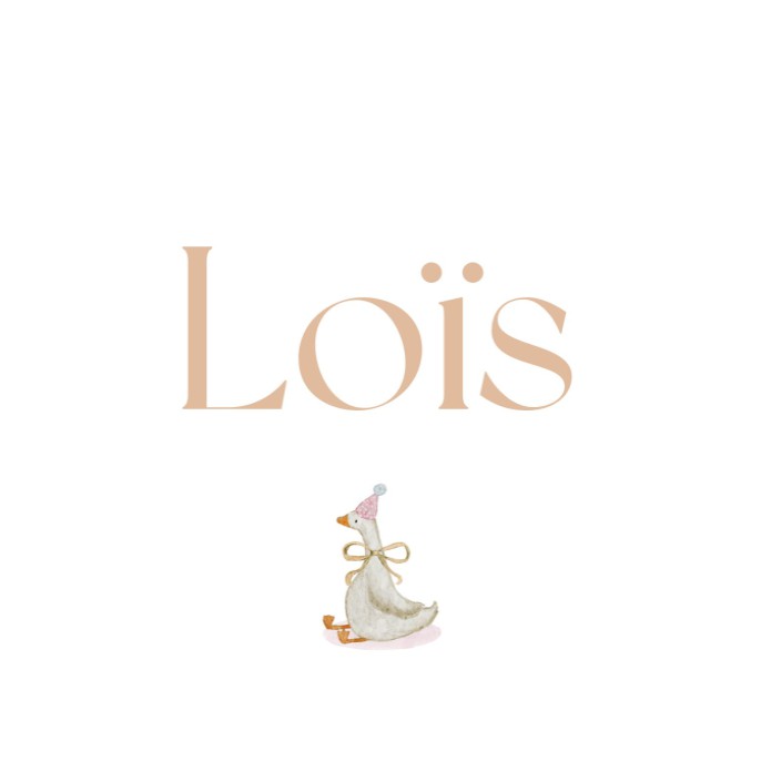 Geboortekaartje met lief gansje Loïs