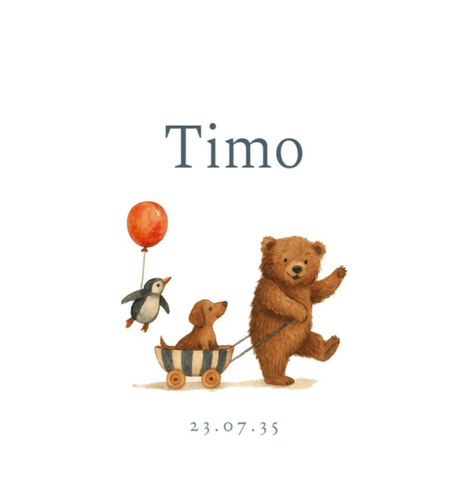 Geboortekaartje met beertje, hondje, pinguïn en gans Timo