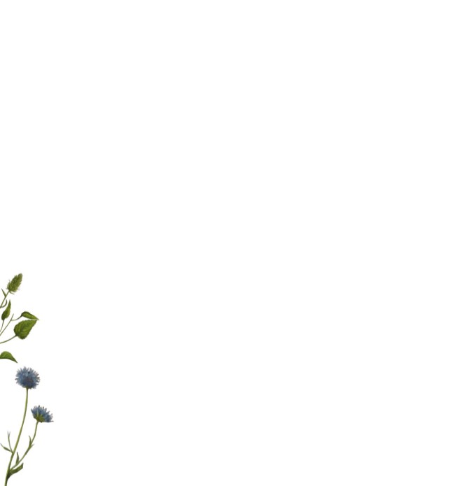 kaart binnenzijde links