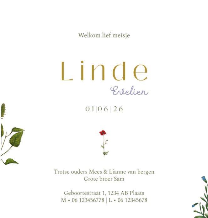 kaart binnenzijde rechts