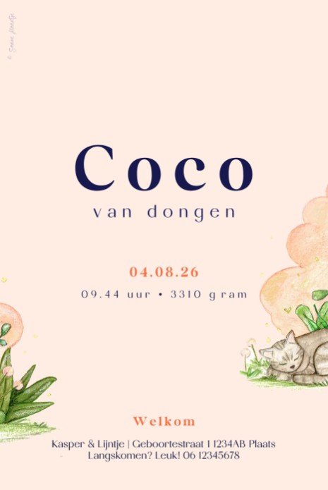 Geboortekaartje met handgetekende illustratie van meisje en poes Coco