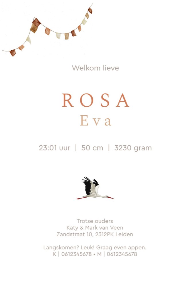 Geboortekaartje ooievaar en slinger Rosa
