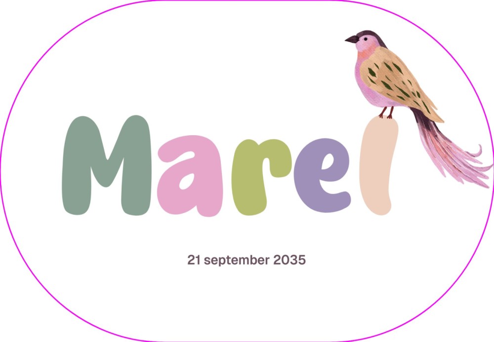 Geboortekaartje meisje ovaal vogel speelse letters Marel
