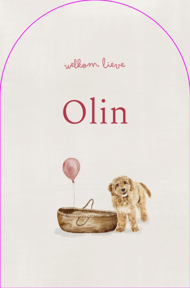 Geboortekaartje meisje met labradoodle, wiegje en ballon Olin