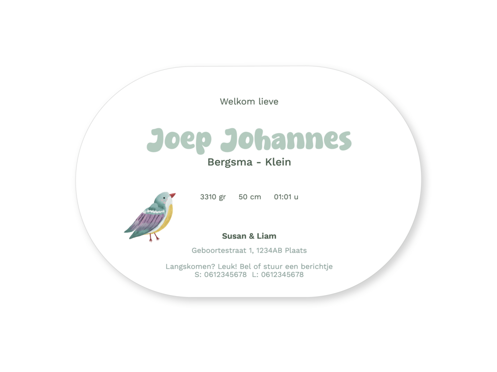 Geboortekaartje jongen ovaal vogel speelse letters Joep
