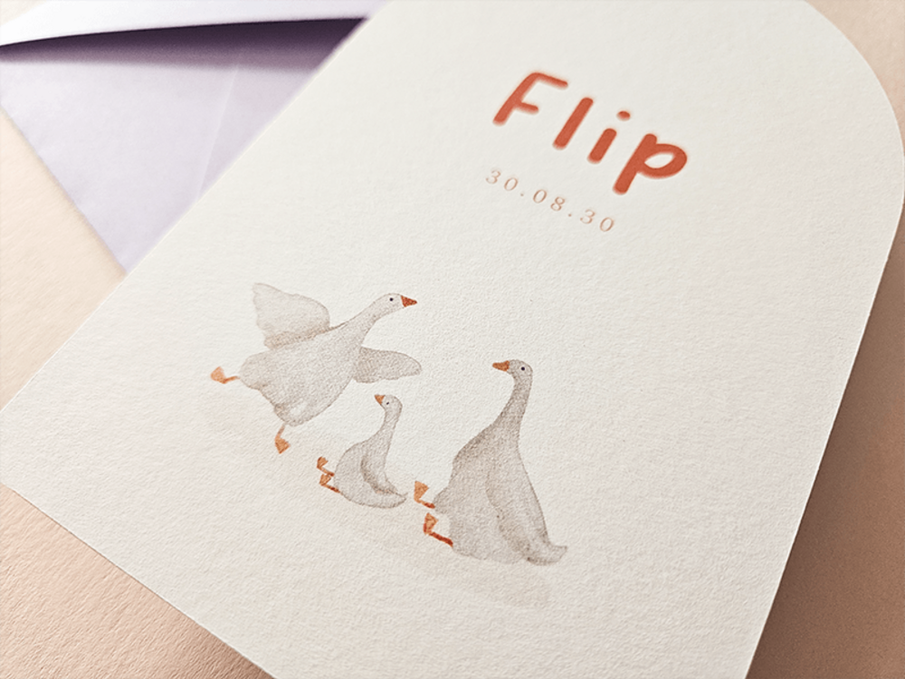 Geboortekaartje boogvorm getekende gansjes Flip