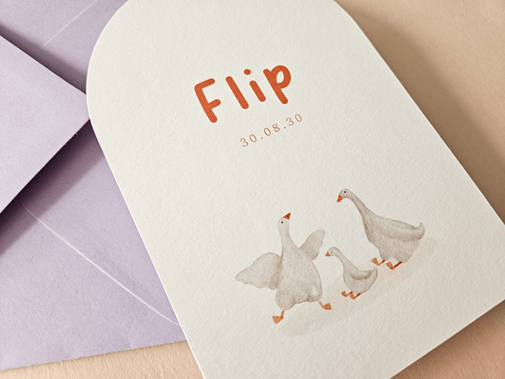 Geboortekaartje boogvorm getekende gansjes Flip