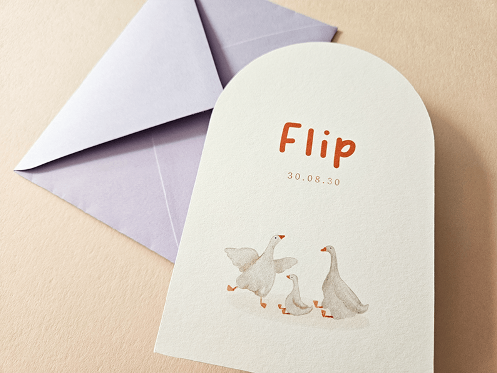 Geboortekaartje boogvorm getekende gansjes Flip