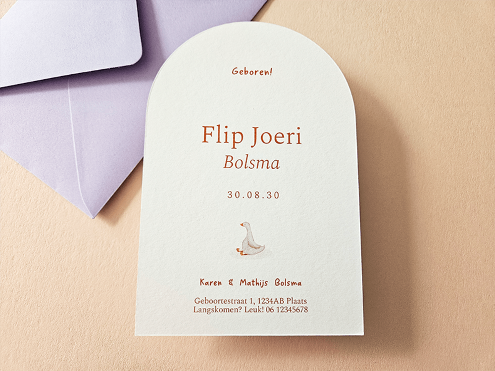 Geboortekaartje boogvorm getekende gansjes Flip