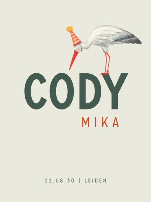 Geboorteposter ooievaar met feesthoedje (30x40)