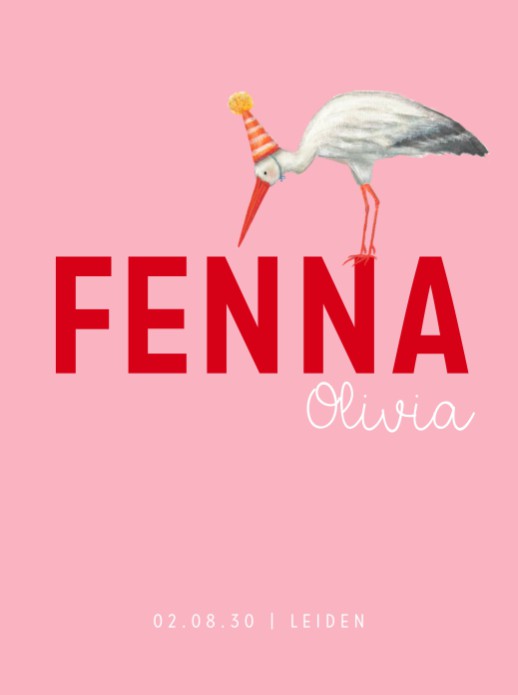 Geboorteposter ooievaar met feesthoedje meisje (30x40)