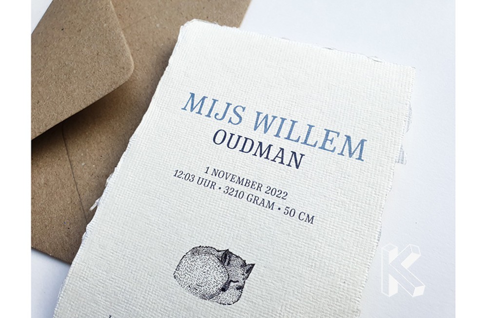 Geboortekaartje Slapend vosje Mijs