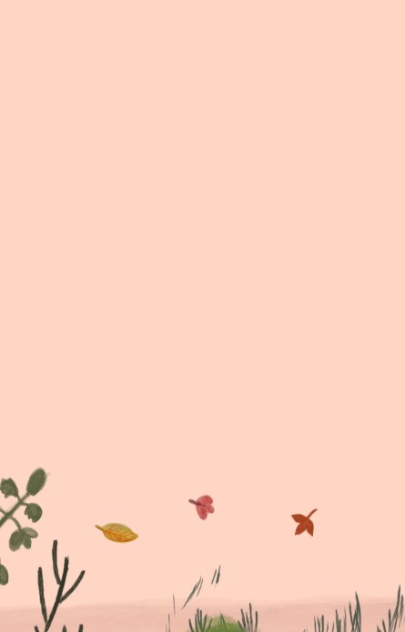 kaart binnenzijde links