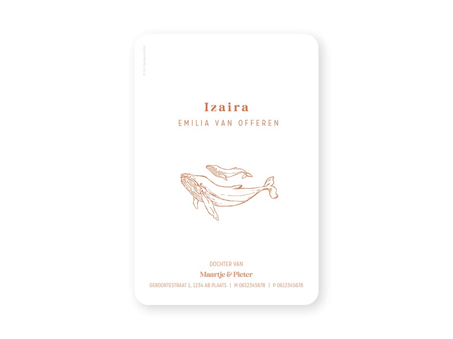 Geboortekaartje met getekende walvis en golven Izaira