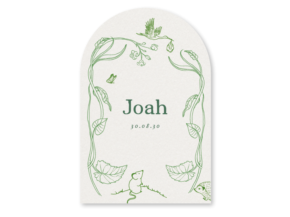 Boogvorm geboortekaartje natuur planten muisje egel ooievaar Joah