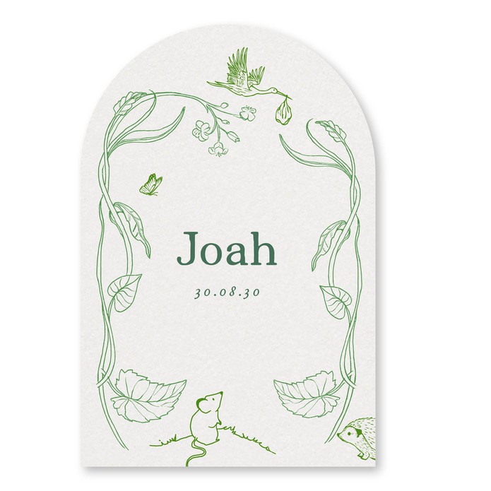 Boogvorm geboortekaartje natuur planten muisje egel ooievaar Joah