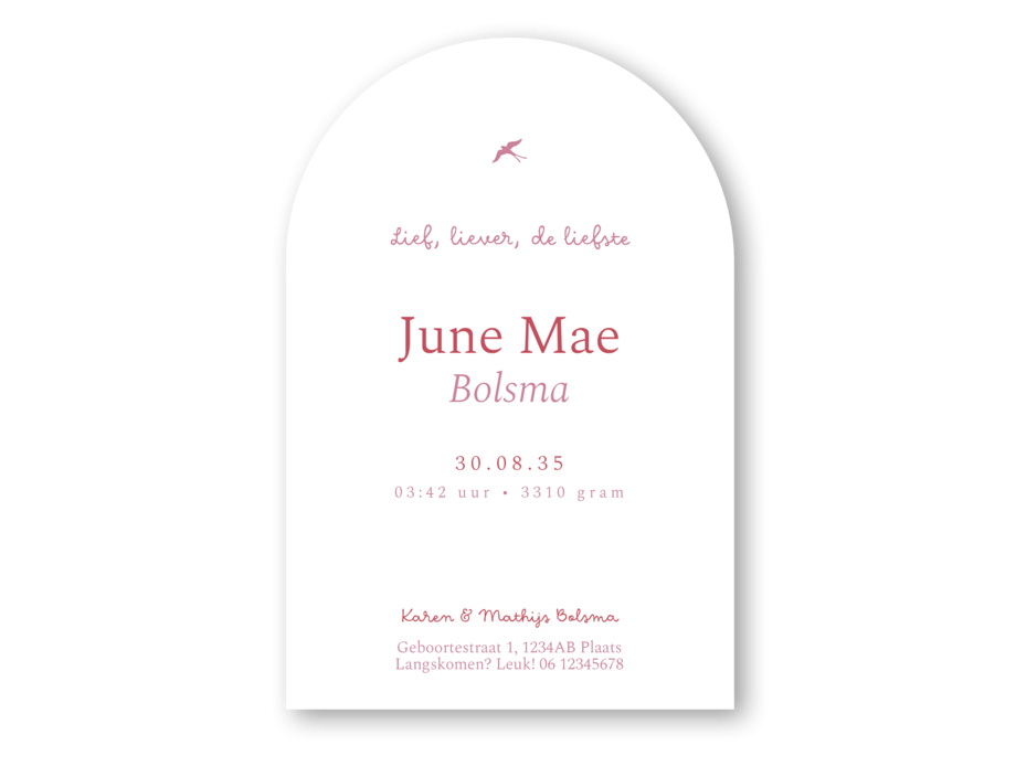 Boogvorm geboortekaartje met planten en bloemen June achter