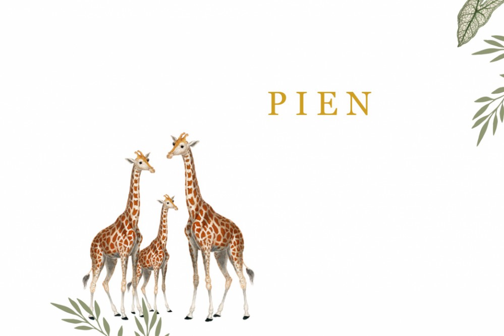 Geboortekaartje met giraffen Lies