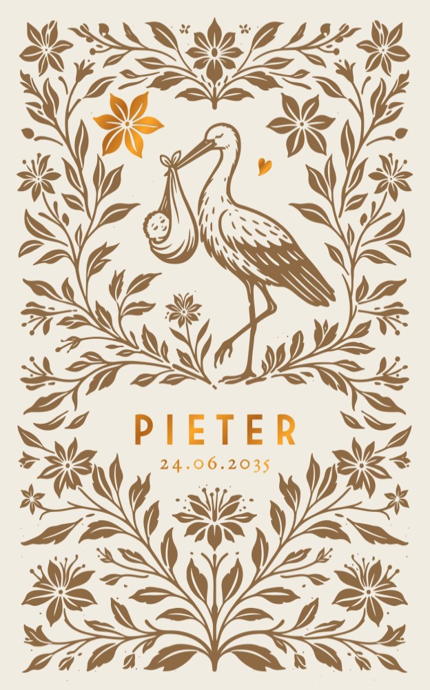 Klassiek geboortekaartje sprookjesstijl Pieter