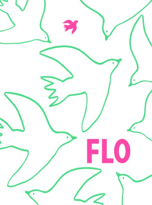 Kleurrijke poster met vogels lijntekeningen (30x40)