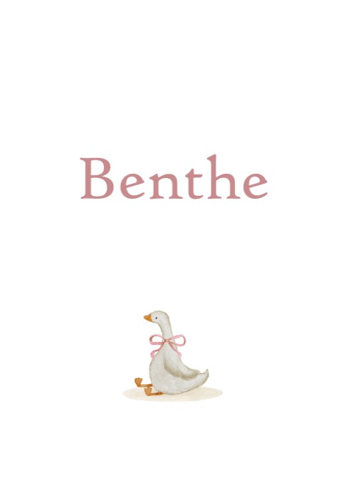 Lief geboortekaartje handgeschept papier met illustratie gansje Benthe