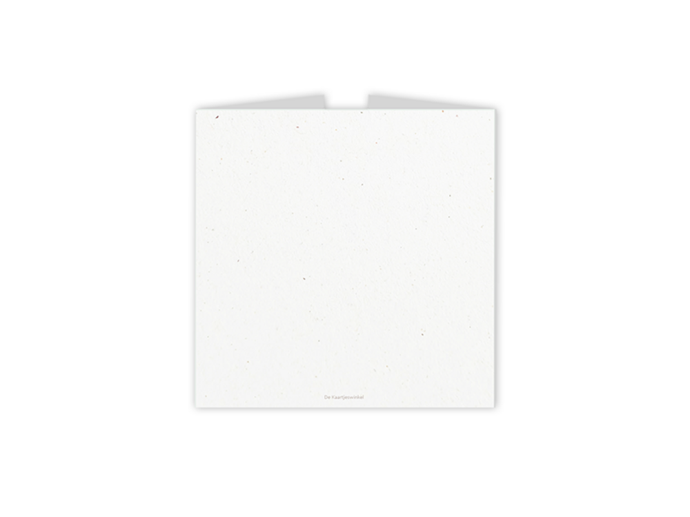 Tweeling geboortekaartje luikvouw met gansjes achterzijde