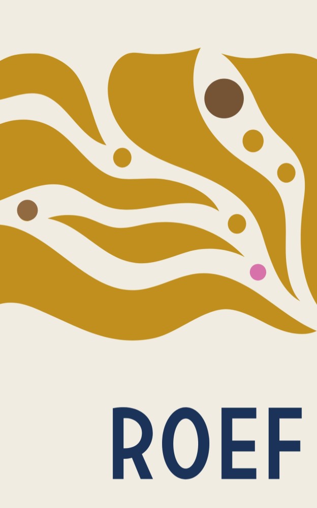 Kleurrijk geboortekaartje met colorblocking Roef