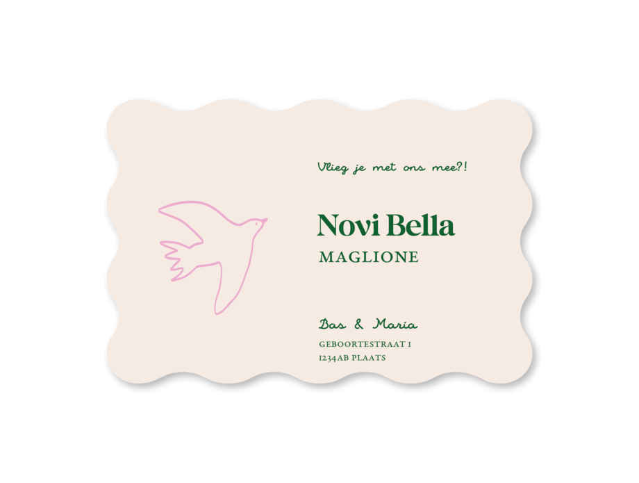 Kleurrijk en modern ovaal geboortekaartje Novi achterzijde