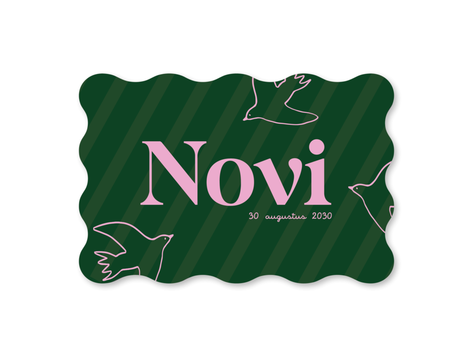 Kleurrijk en modern ovaal geboortekaartje Novi