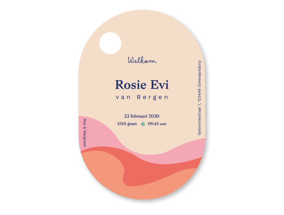 Kleurrijk ovaal geboortekaartje zon golven Rosie achterzijde