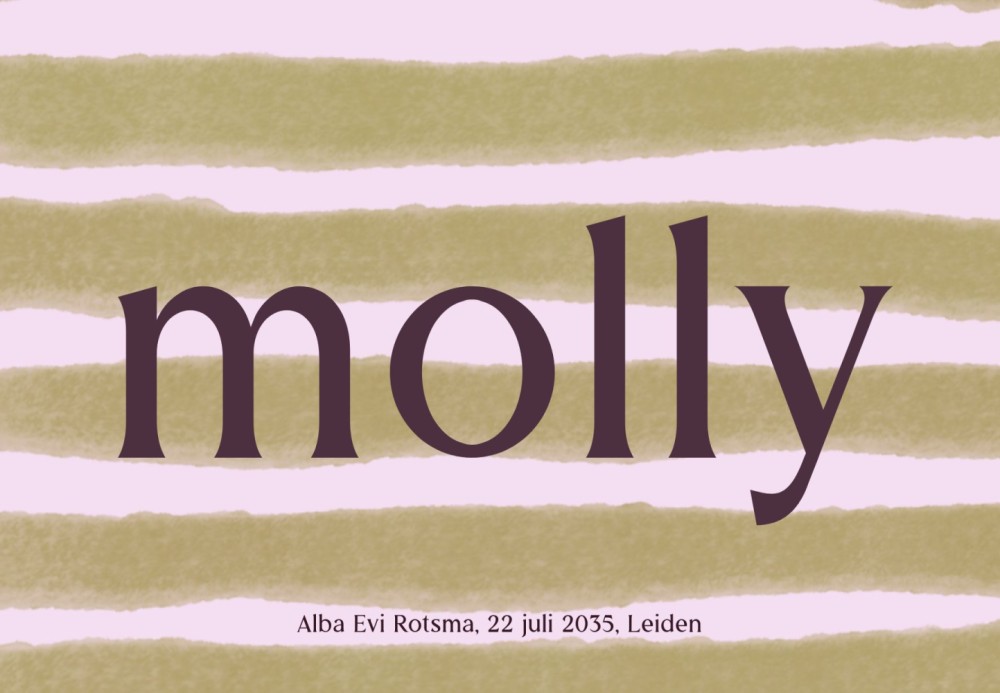 Speels kleurrijk geboortekaartje Molly