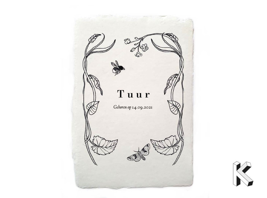 Hommel en vlinder Tuur