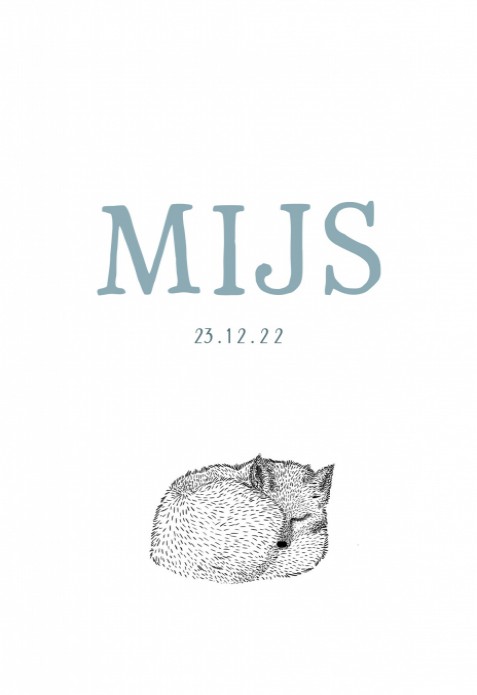 Geboortekaartje Slapend vosje Mijs