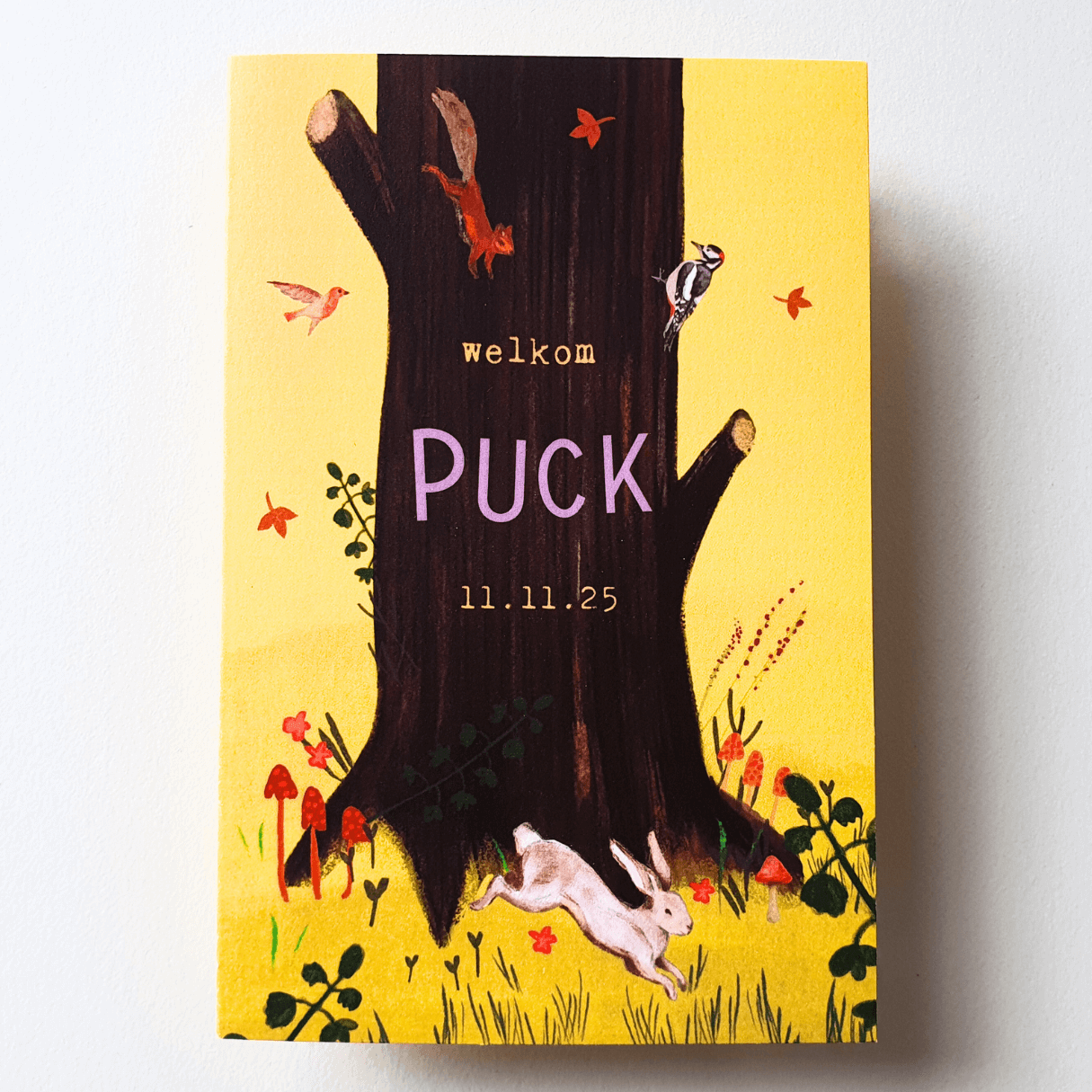 Prijsoptie 4 - illustratie op maat